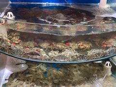 -蓝珊甄选海鲜自助·火锅大排档(近阿那亚店)