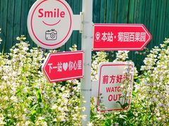 -菊园百果园