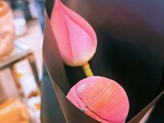 -双季花艺园艺市场(浦东店)