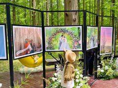 -黄海国家森林公园