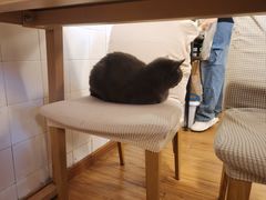 -春笙食堂.丼饭拉面寿司(GOGO新天地店)