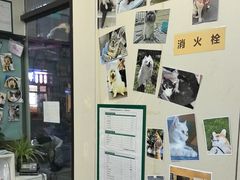 -爱妮康宠物医院·干细胞免疫细胞·肿瘤·心脏(张江店)