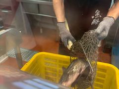 -鱼酷活鱼烤鱼(沈阳大悦城店)