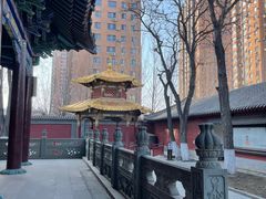 -护国法轮寺