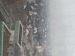-苏州茉莉花酒店
