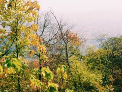 -紫金山山顶公园