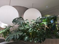 -枕水江南(铁西万象汇店)