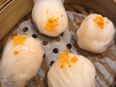虾饺-新海利海鲜城·41年珠海老字号(夏湾店)