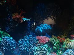 -中国湿地博物馆