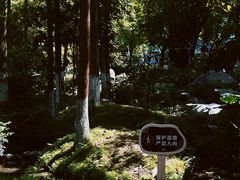 -成都市活水公园