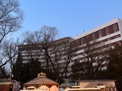 -金熊猫川菜餐厅