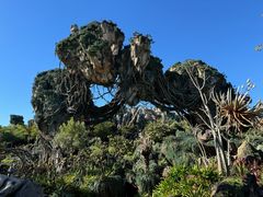 -奥兰多环球影城