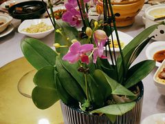 -顺风海鲜港(金玉兰店)