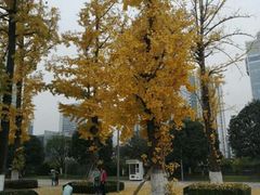 -百林公园-两江幸福广场