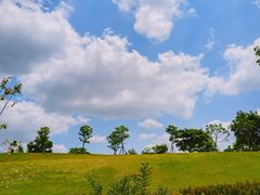 -上海辰山植物园