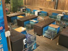 -泰国鱼疗足疗馆