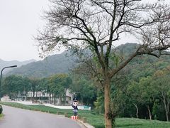 -龙坞茶村