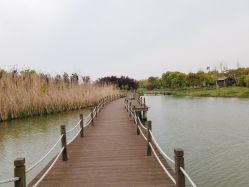 -水八仙生态园