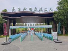 -黄海国家森林公园