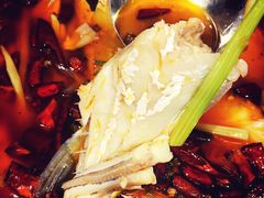 -重庆乌鱼庄·龙滋鲜(青羊大道店)