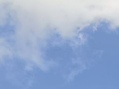 -上海跨国采购会展中心