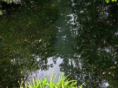 -柯岩风景区