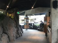 -西雅图水族馆