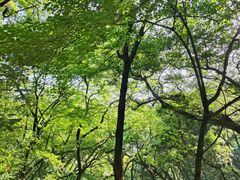 -句容茅山景区