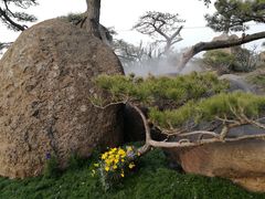 -罗红摄影艺术馆