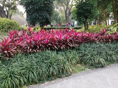 -晓港公园