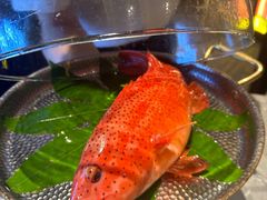 -ONE FULL 古董港式海鲜火锅