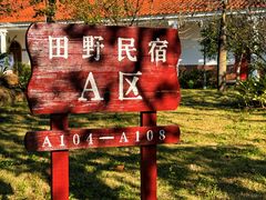 -田野绿世界