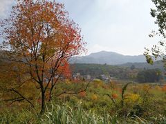 -塔川景区