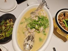 -八分饱·西津会(西津渡店)