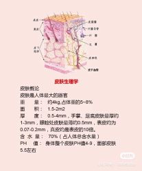 -海茱雅科技健康美容