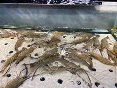 -川骄海鲜自助(河东店)