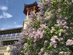 -西宁市东关清真大寺
