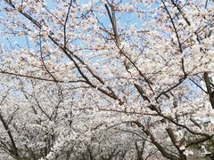 -中医药大学-第2食堂