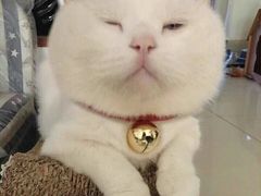 -包装马车·韩国料理·포장마차