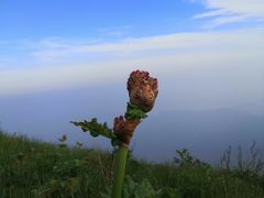 -白草畔自然风景区