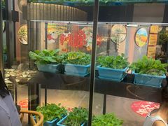 -番食园鲜食火锅(高新店)