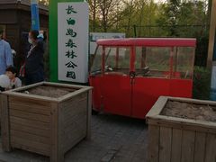 -长白岛森林公园