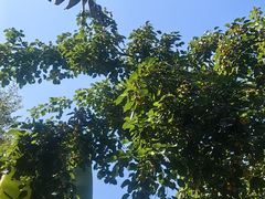 -碧桂园润杨溪谷温泉酒店