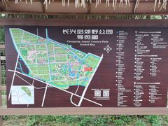 -上海长兴岛郊野公园