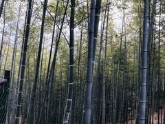 -陶祖圣境风景区
