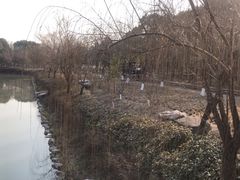 -柳鹭田园区