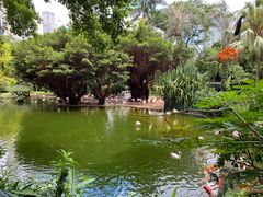 -九龙公园