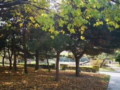 -长春公园(普阳街道)