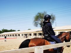 -北京群众马术培训基地