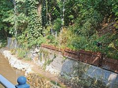 -丽泽山庄·生态怀柔菜·虹鳟鱼(红螺寺店)